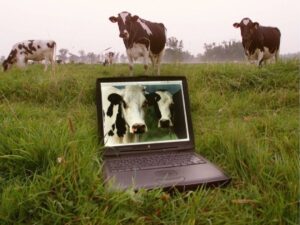agriculture