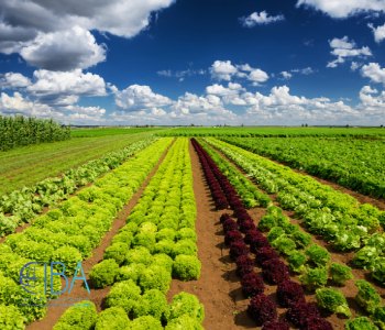 کار در بخش کشاورزی و تولید مواد غذایی کانادا بدون مدرک زبان