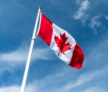 هزینه تمدید مجوز کار در کانادا