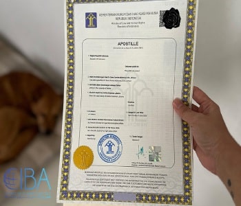 آپوستیل سامانه میخک