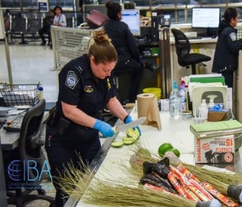 قوانین مربوط به اقلام ممنوع الورود به کانادا