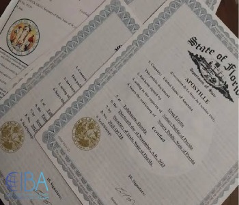 سیستم آپوستیل مدارک تجاری چیست؟