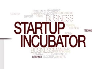 انکوباتور استارتاپ کانادا