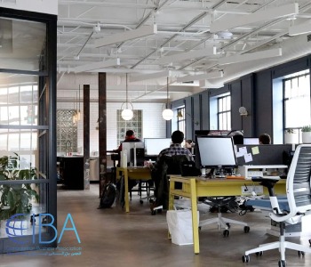 تفاوت انکباتور و سرمایه گذاران فرشته در کانادا